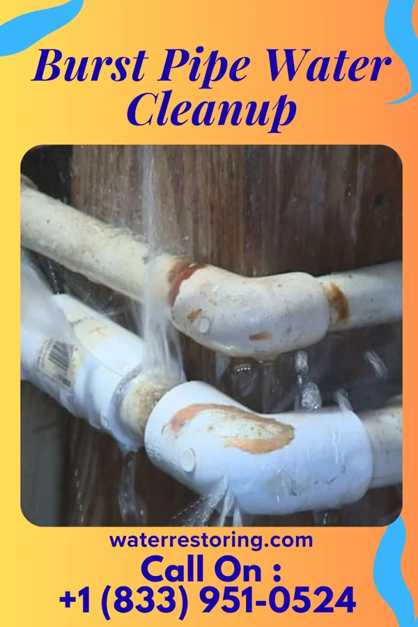 Burst Pipe Water Cleanup in Trenton, NE